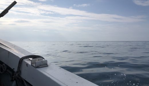 鳥取シロイカ釣りヤングバードで実釣レポート！イカメタル、オモリグ！